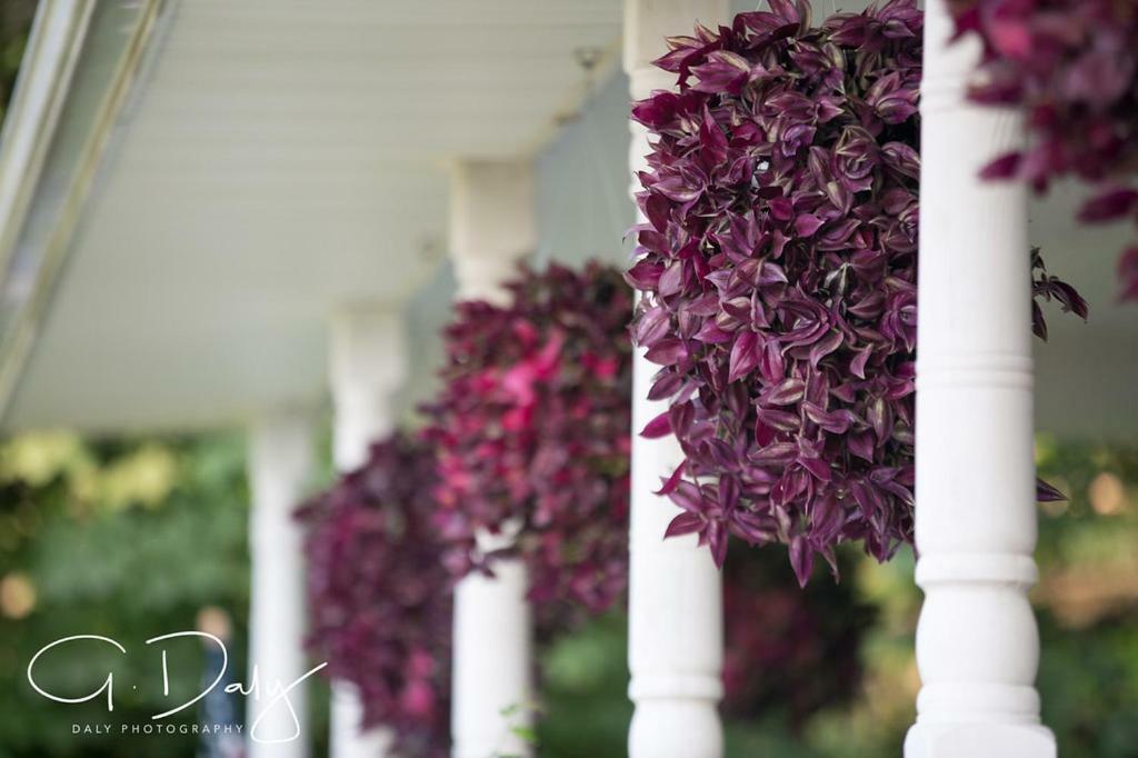 Letchworth Farm Hotel Nunda Exterior photo